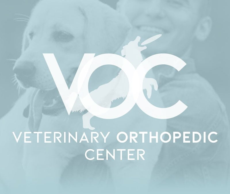 Veterinary Orthopedic Center
